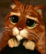 chatounet